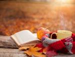 Ein gesunder Magen im Herbst – Vorbereitung auf die dunkle Jahreszeit